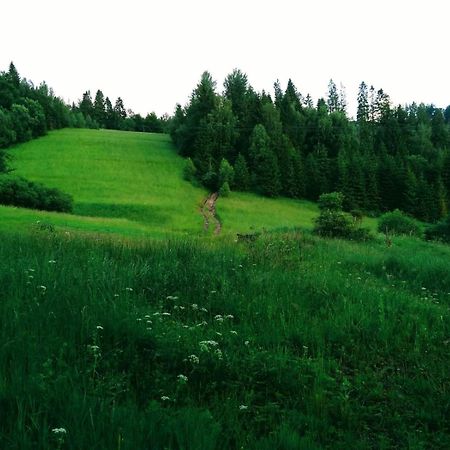 Domek W Gorach Pod Rysianka Zlatna ภายนอก รูปภาพ