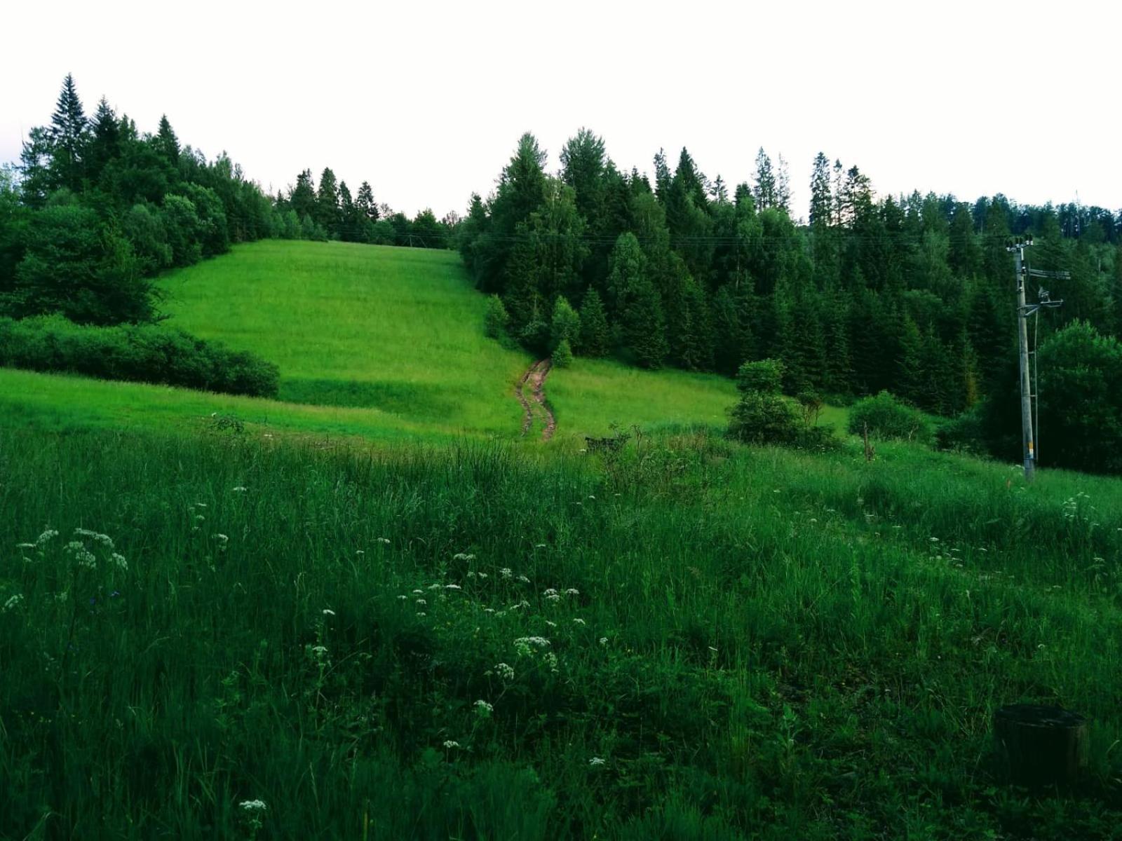 Domek W Gorach Pod Rysianka Zlatna ภายนอก รูปภาพ