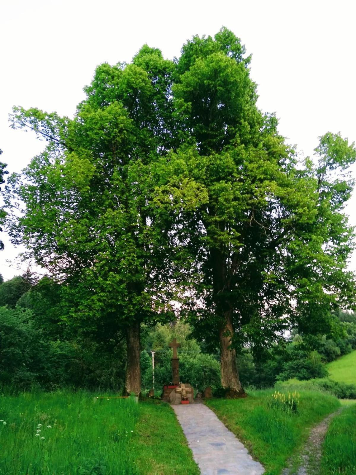 Domek W Gorach Pod Rysianka Zlatna ภายนอก รูปภาพ